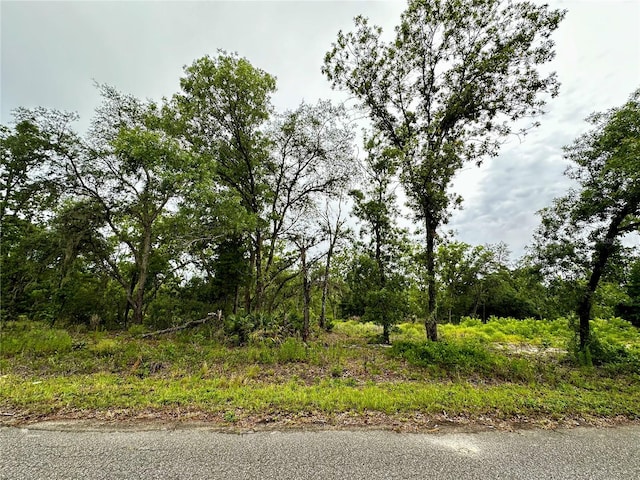 Listing photo 2 for LOT2 Guava Pl, Ocklawaha FL 32179