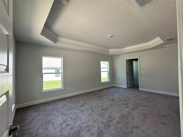 carpeted spare room with a wealth of natural light, ornamental molding, a tray ceiling, and a textured ceiling