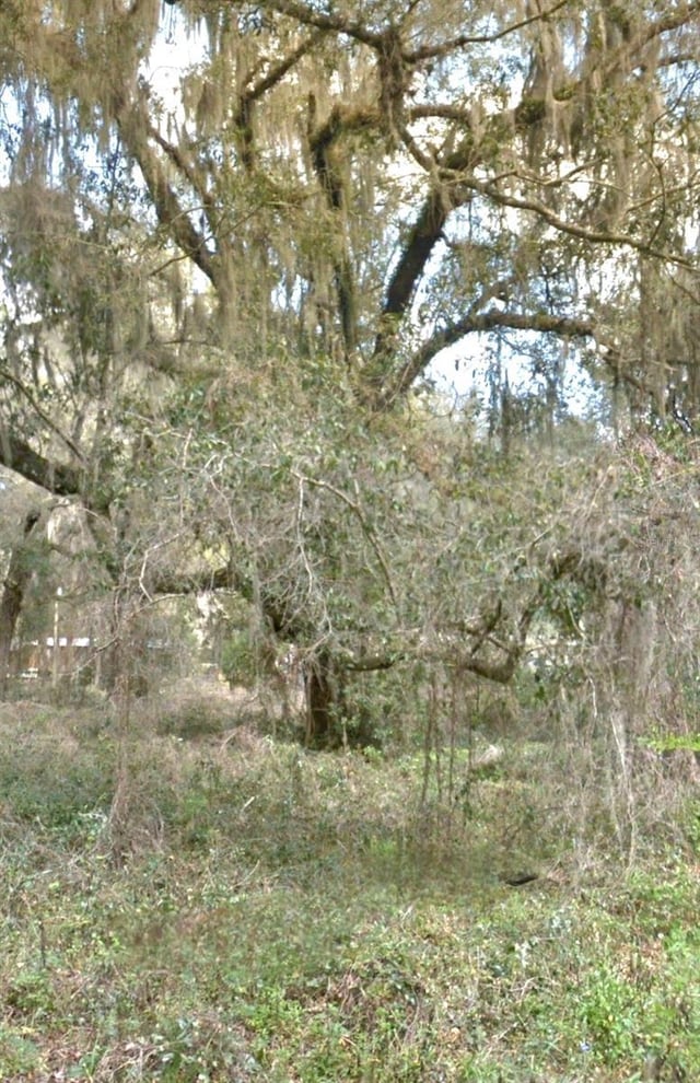 000 NE 192nd Pl, Citra FL, 32113 land for sale