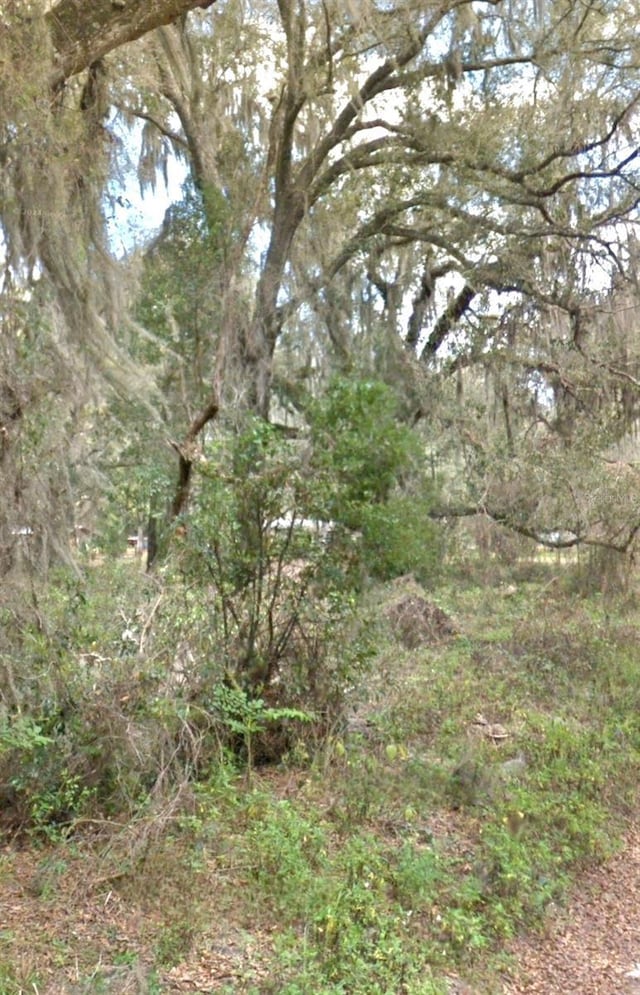 Listing photo 2 for 000 NE 192nd Pl, Citra FL 32113