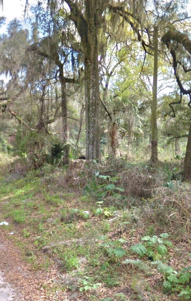 Listing photo 3 for 000 NE 192nd Pl, Citra FL 32113