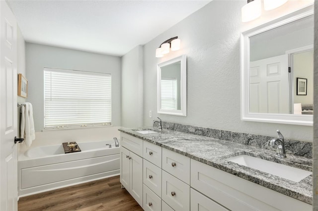 bathroom featuring wood-type flooring, vanity, and a washtub