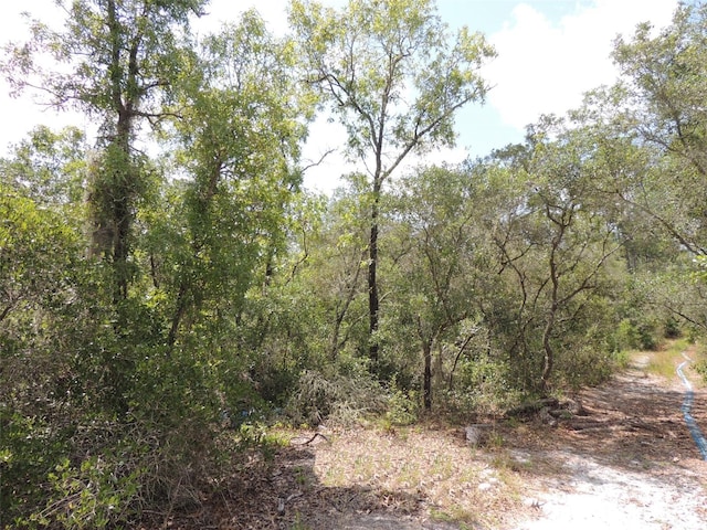 5551 SW 103rd Ct, Cedar Key, FL 32625