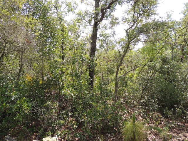 5551 SW 103rd Ct, Cedar Key, FL 32625