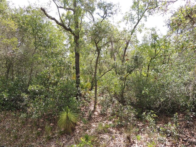 5551 SW 103rd Ct, Cedar Key, FL 32625