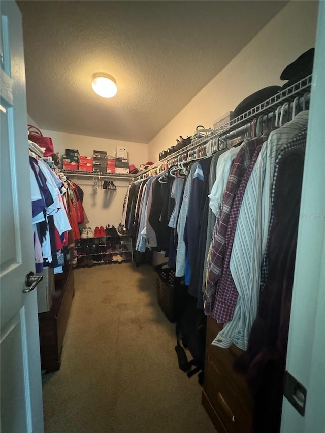 walk in closet with carpet floors