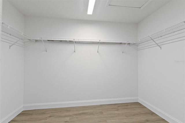 walk in closet with hardwood / wood-style flooring