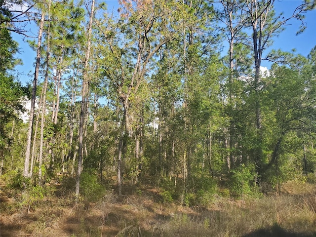 TBD SW 159th Ave, Ocala FL, 34481 land for sale