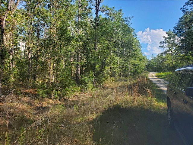 Listing photo 2 for TBD SW 159th Ave, Ocala FL 34481