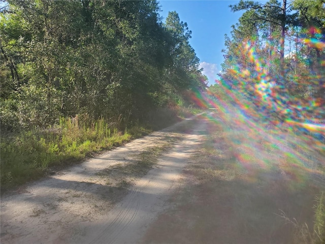 Listing photo 3 for TBD SW 159th Ave, Ocala FL 34481