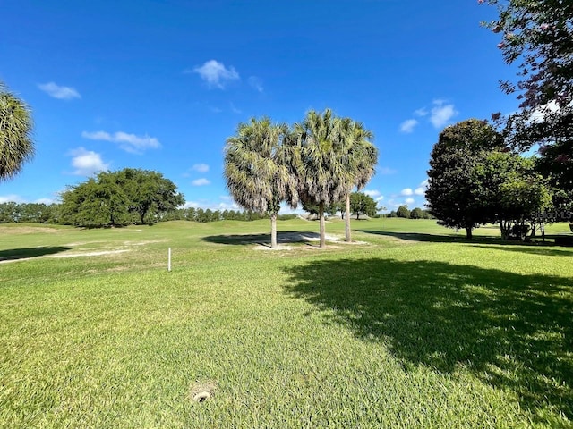 view of home's community featuring a lawn