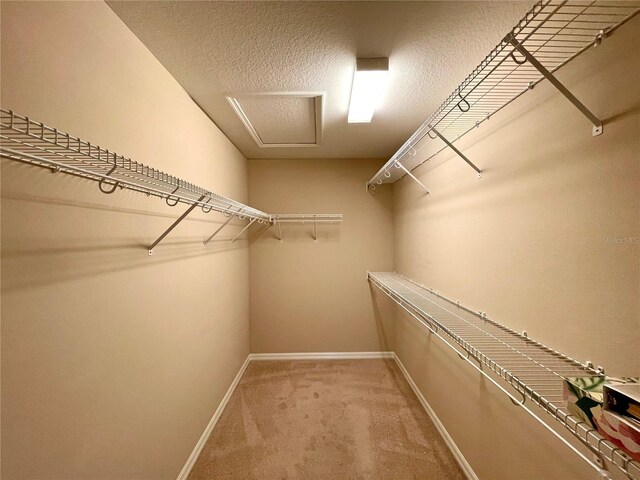 walk in closet featuring carpet floors