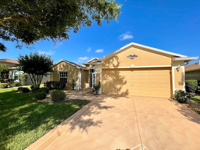 ranch-style home with concrete driveway, stucco siding, an attached garage, and a front yard