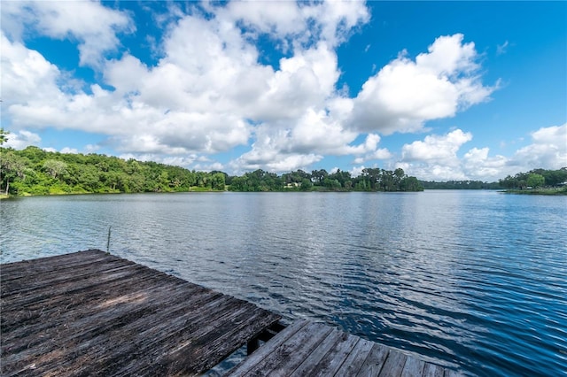 15669 SE 112th Ln, Ocklawaha, FL 32179 - photo 2