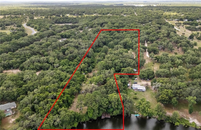 15669 SE 112th Ln, Ocklawaha, FL 32179 - photo 5