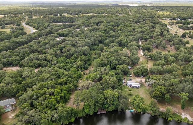 15669 SE 112th Ln, Ocklawaha, FL 32179 - photo 63