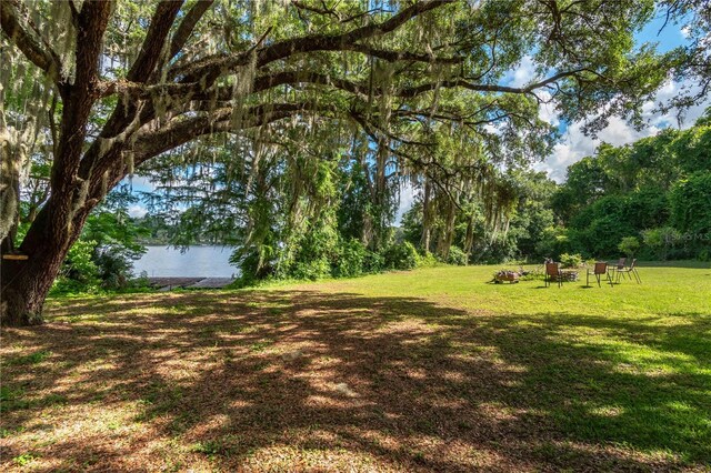 15669 SE 112th Ln, Ocklawaha, FL 32179 - photo 7