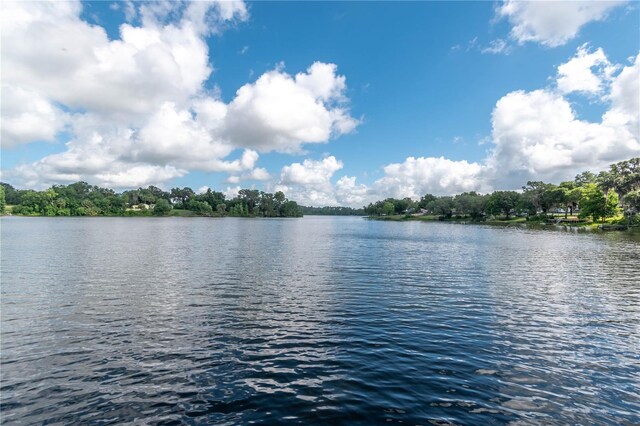 15669 SE 112th Ln, Ocklawaha, FL 32179 - photo 36