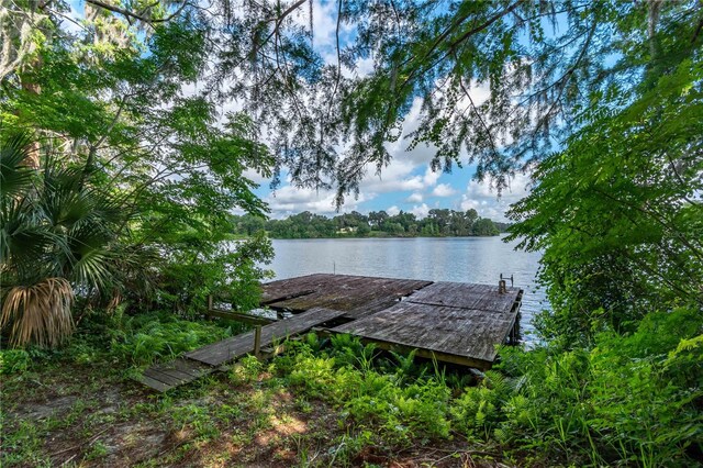 15669 SE 112th Ln, Ocklawaha, FL 32179 - photo 37
