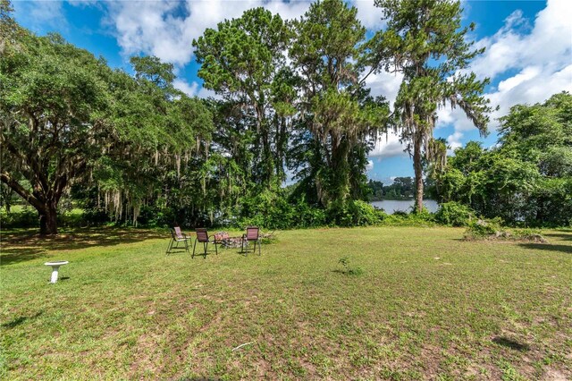 15669 SE 112th Ln, Ocklawaha, FL 32179 - photo 39