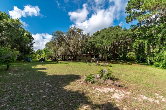 15669 SE 112th Ln, Ocklawaha, FL 32179 - photo 41