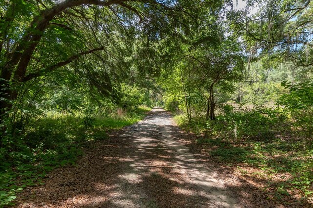 15669 SE 112th Ln, Ocklawaha, FL 32179 - photo 43
