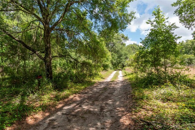 15669 SE 112th Ln, Ocklawaha, FL 32179 - photo 45