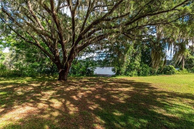 15669 SE 112th Ln, Ocklawaha, FL 32179 - photo 49