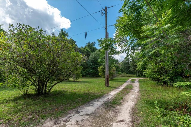 15669 SE 112th Ln, Ocklawaha, FL 32179 - photo 53