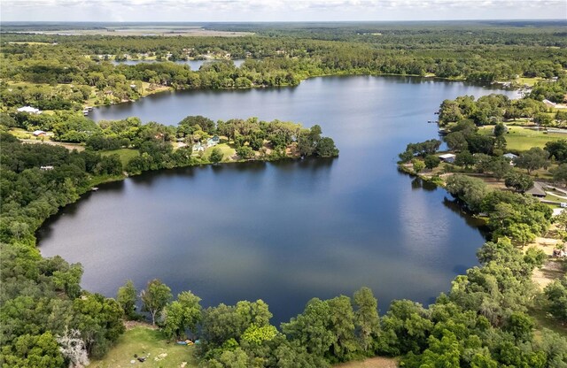 15669 SE 112th Ln, Ocklawaha, FL 32179 - photo 57