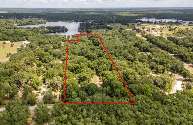 15669 SE 112th Ln, Ocklawaha, FL 32179 - photo 58
