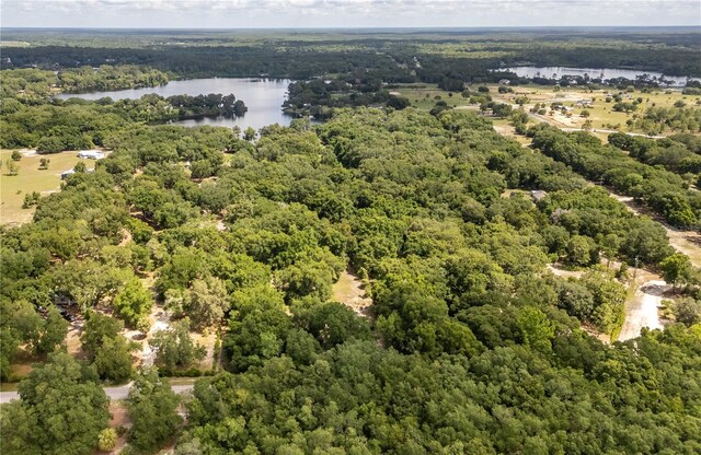 15669 SE 112th Ln, Ocklawaha, FL 32179 - photo 59