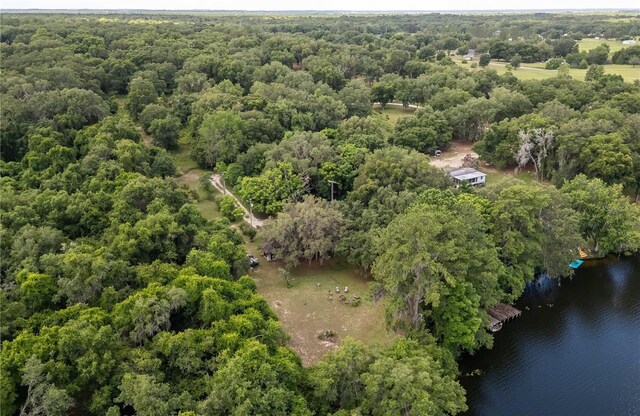 15669 SE 112th Ln, Ocklawaha, FL 32179 - photo 60
