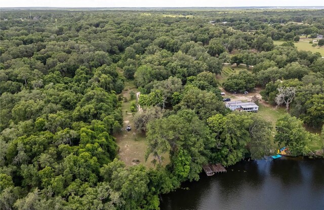 15669 SE 112th Ln, Ocklawaha, FL 32179 - photo 61