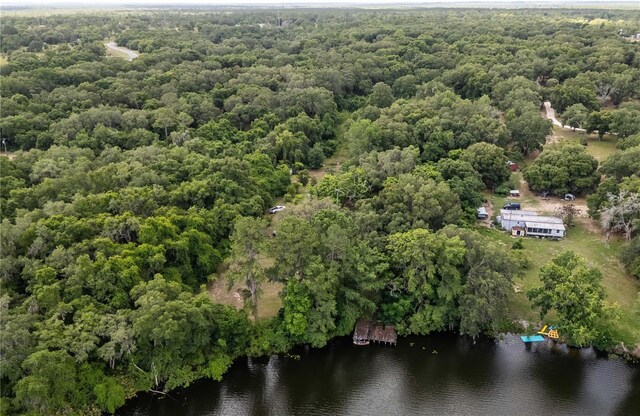 15669 SE 112th Ln, Ocklawaha, FL 32179 - photo 62