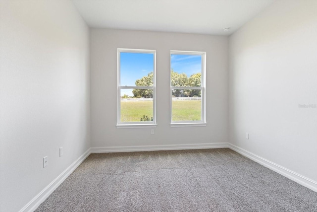 spare room featuring carpet floors