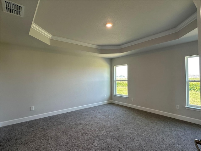 spare room featuring dark colored carpet, crown molding, and a raised ceiling