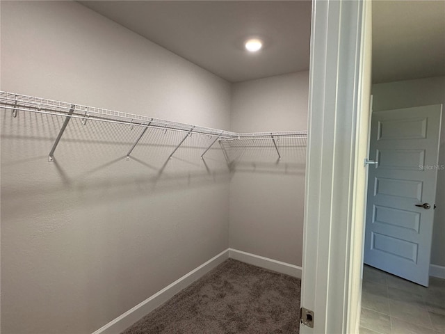 walk in closet with carpet floors