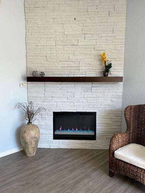 interior details with a stone fireplace and wood-type flooring