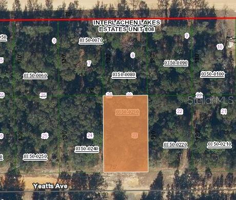 Yeatts Ave, Interlachen FL, 32148 land for sale