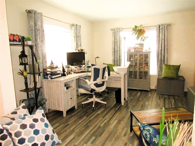 office featuring dark wood-style flooring