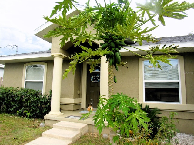 entrance to property with stucco siding