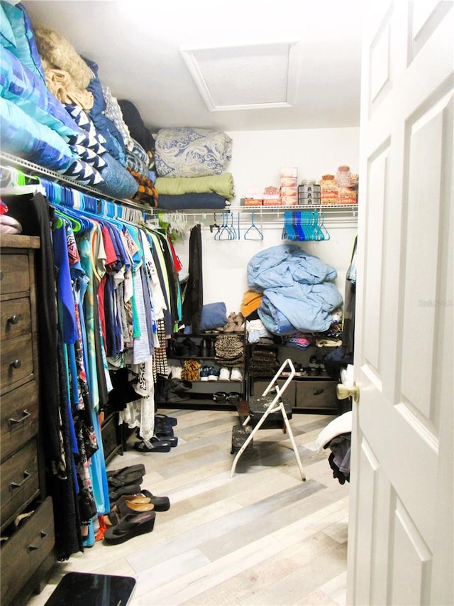 walk in closet featuring wood finished floors and attic access