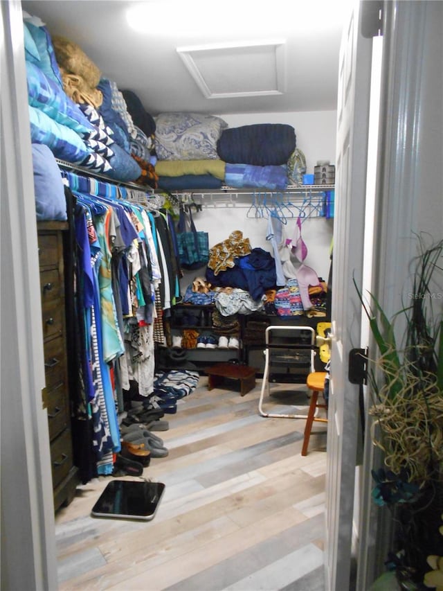 spacious closet with attic access and wood finished floors