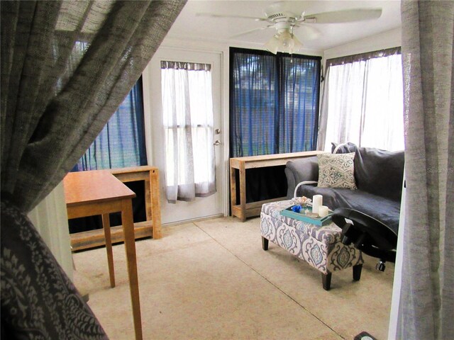 interior space with a ceiling fan and a healthy amount of sunlight