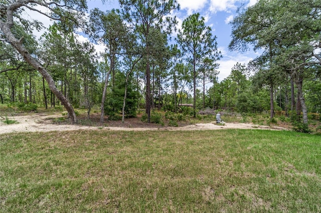 13359 SW 80th St, Dunnellon, FL 34432 - view of green lawn
