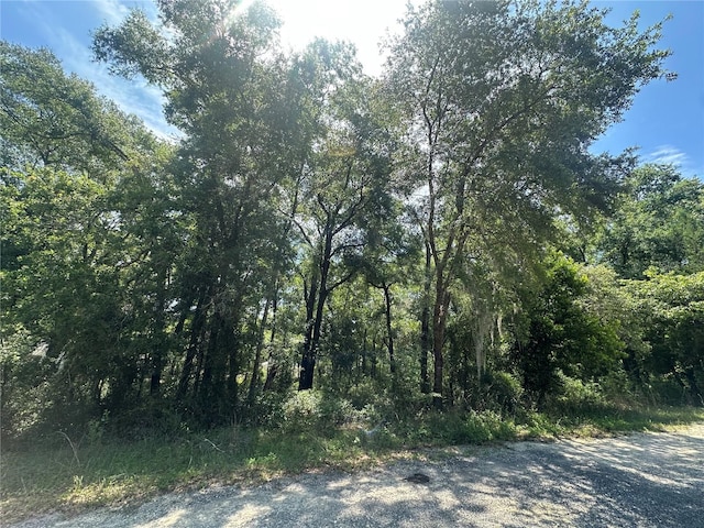 Listing photo 2 for 0 NE 154th Ter, Williston FL 32696