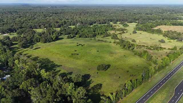 18001 SE Hawthorne Rd, Hawthorne, FL 32640 - bird's eye view with a forest view