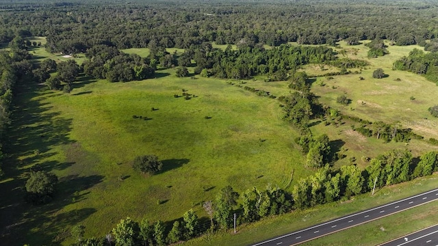 18001 SE Hawthorne Rd, Hawthorne, FL 32640 - aerial view with a forest view