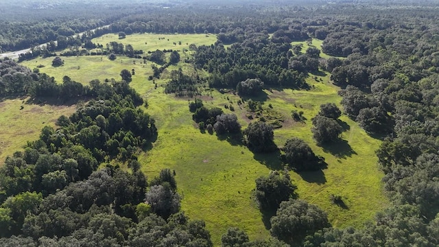 18001 SE Hawthorne Rd, Hawthorne, FL 32640 - bird's eye view with a wooded view